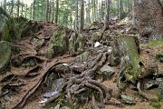 GIRO DEI CINQUE LAGHI sul sent. CAI 250 al RIF. GEMELLI da Carona il 26 ottobre 2017 - FOTOGALLERY